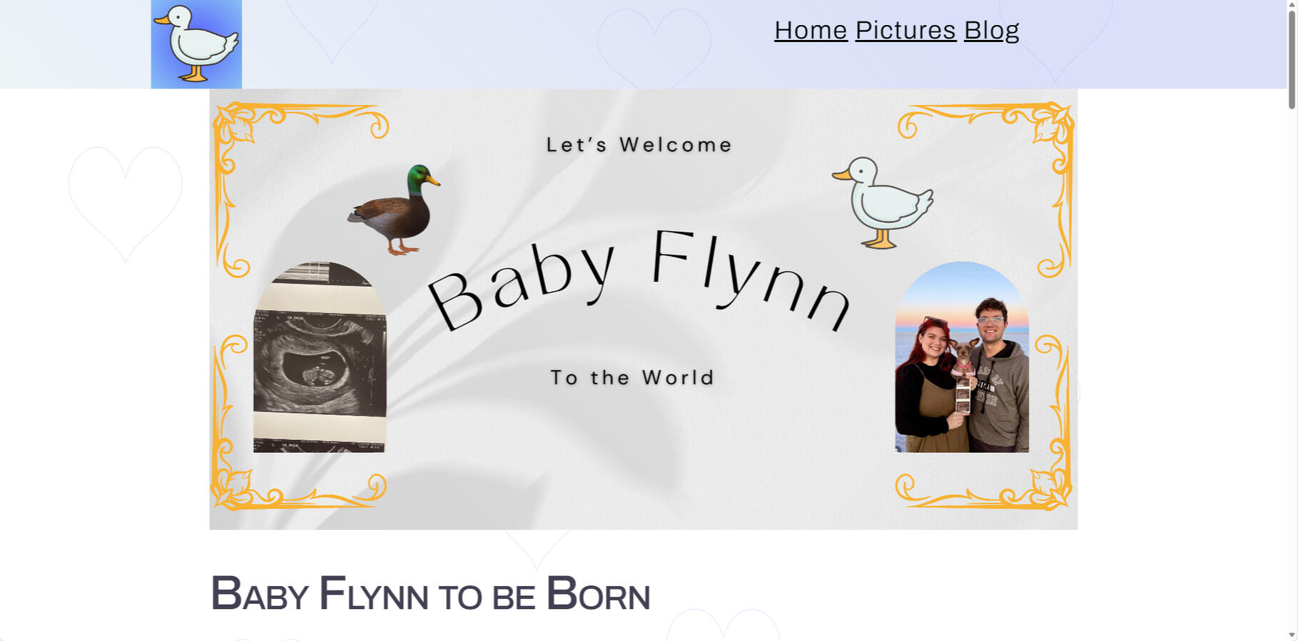 Basic Website (Baby Anouncement)